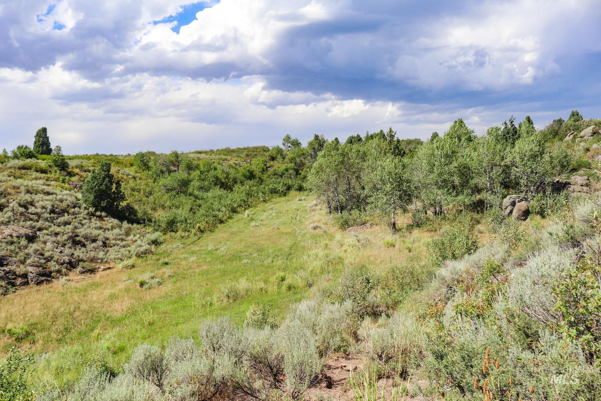 1780 Sadorus Hill Road, Ashton, Idaho 83420, 2 Bedrooms, 1 Bathroom, Residential For Sale, Price $4,500,000, 98923727