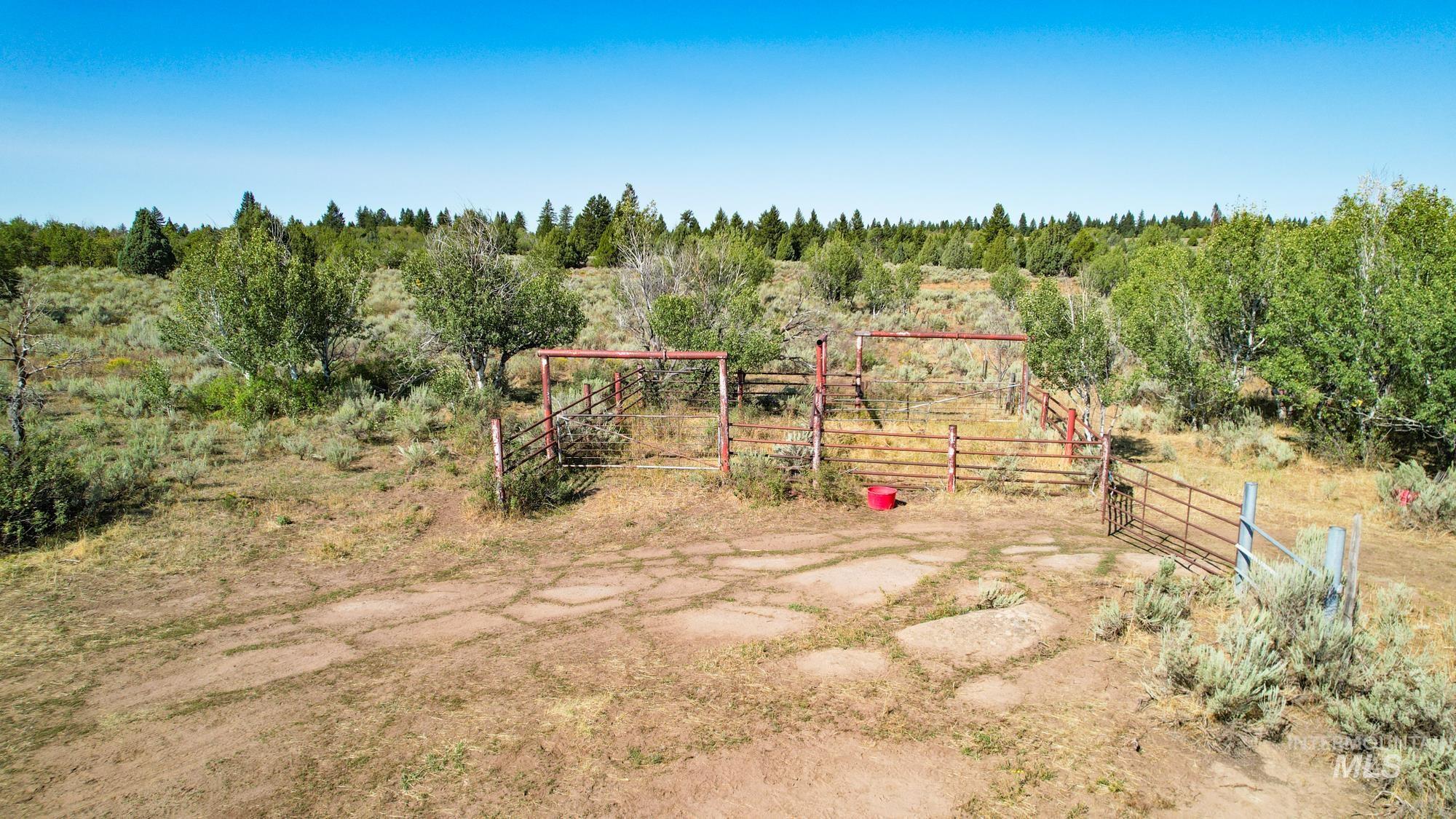 TBD Sadorus Hill Road, Ashton, Idaho 83420, Land For Sale, Price $4,500,000, 98923729