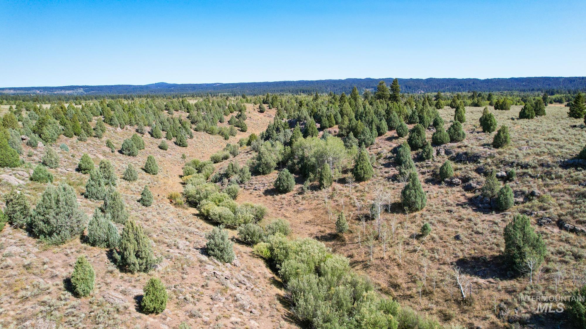 TBD Sadorus Hill Road, Ashton, Idaho 83420, Land For Sale, Price $4,500,000, 98923729