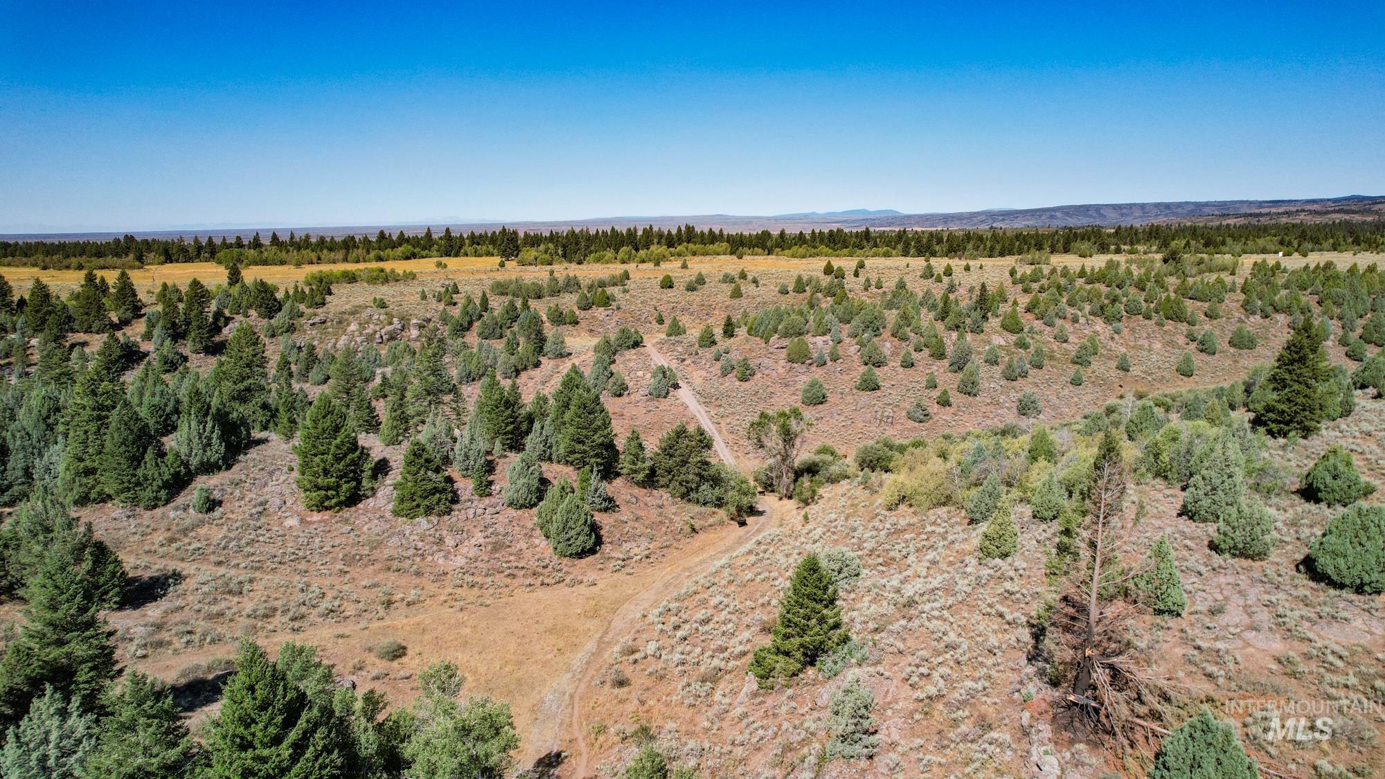 TBD Sadorus Hill Road, Ashton, Idaho 83420, Land For Sale, Price $4,250,000,MLS 98923729