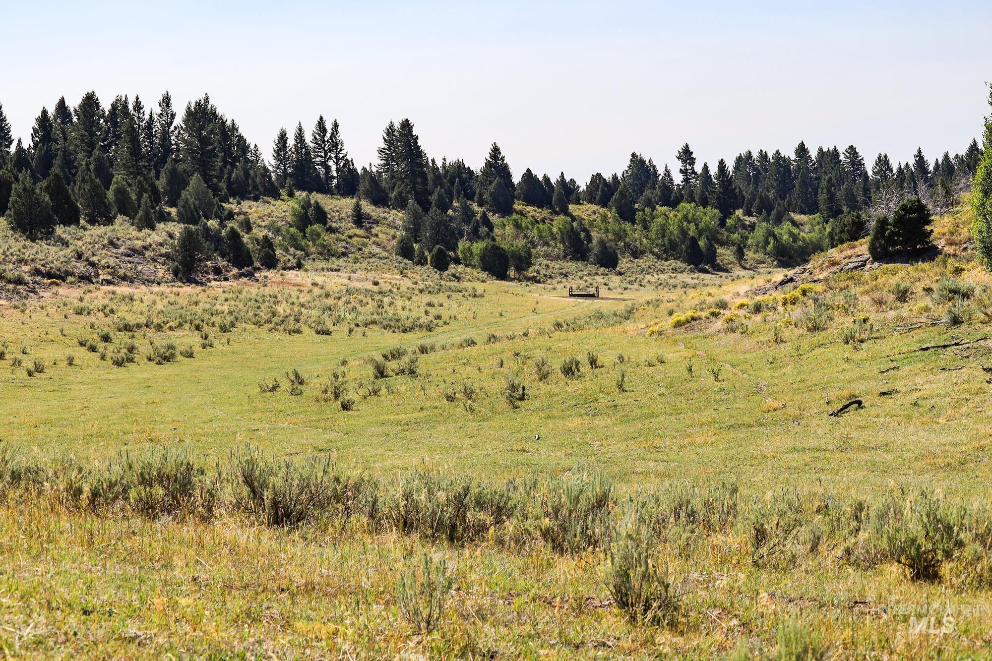 TBD Sadorus Hill Road, Ashton, Idaho 83420, Land For Sale, Price $4,500,000, 98923729