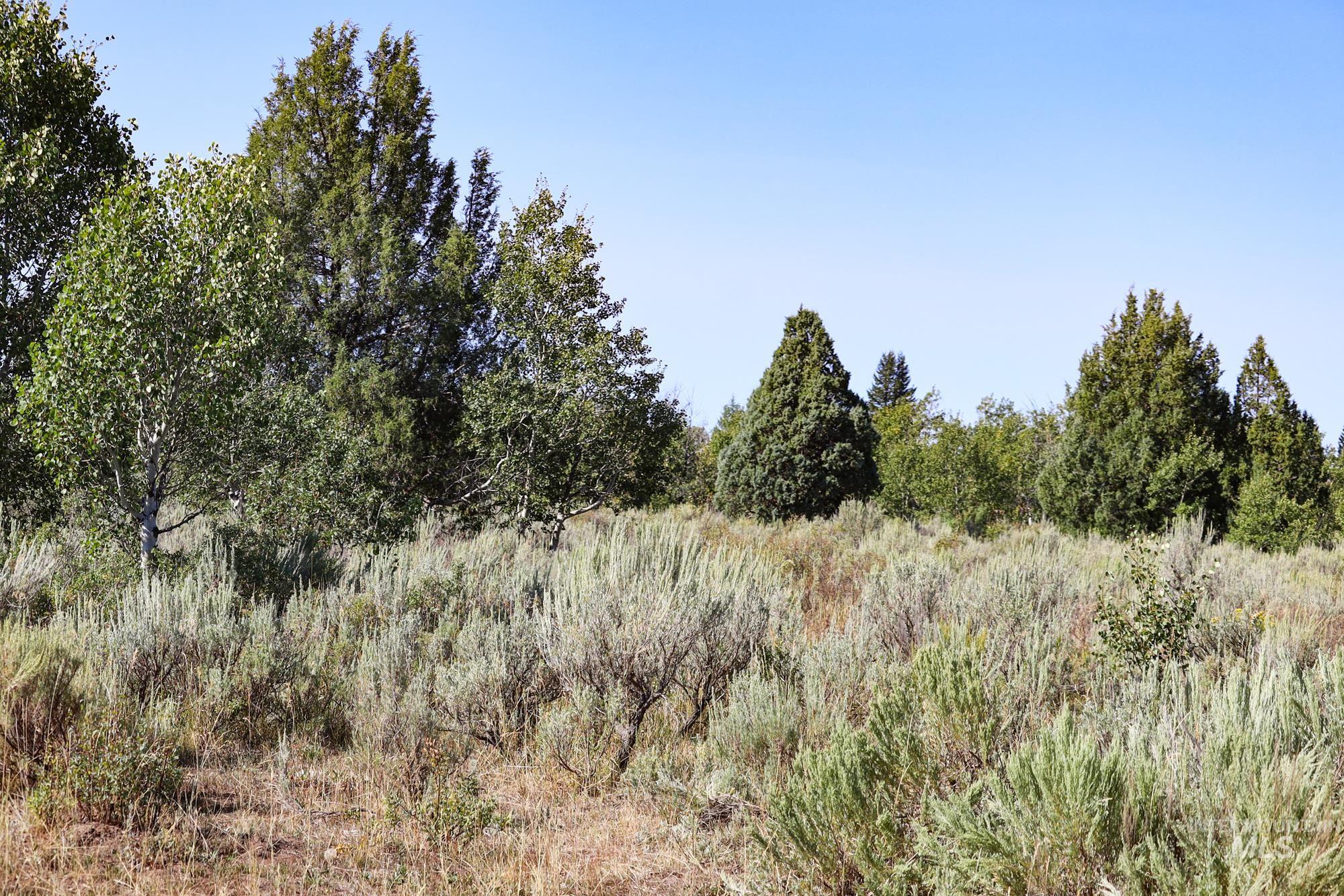 TBD Sadorus Hill Road, Ashton, Idaho 83420, Land For Sale, Price $4,500,000, 98923729