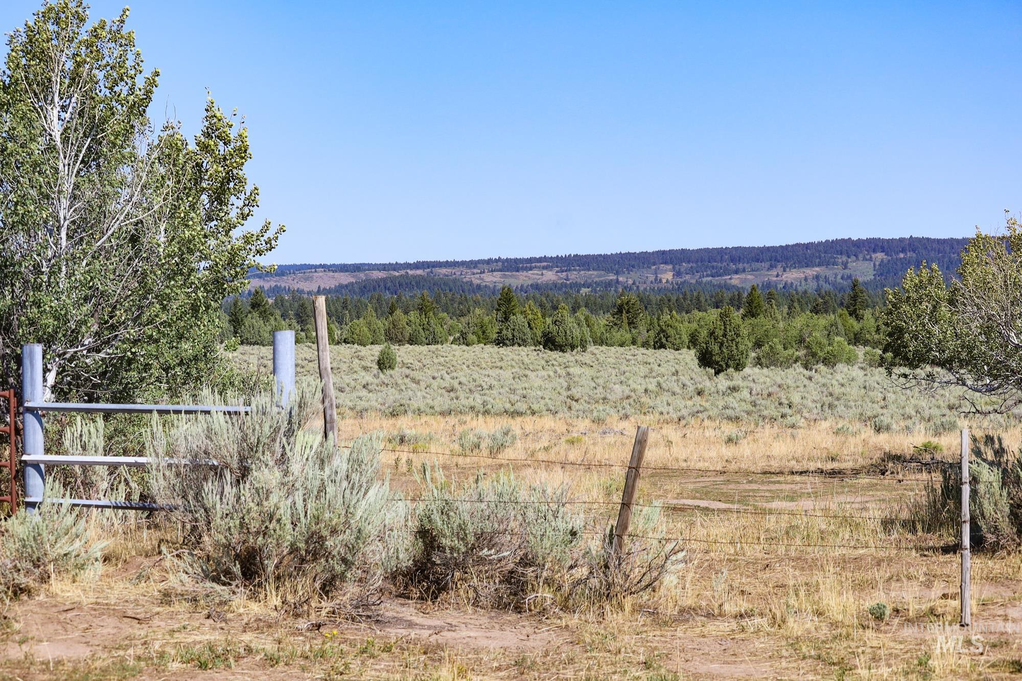 TBD Sadorus Hill Road, Ashton, Idaho 83420, Land For Sale, Price $4,500,000, 98923729