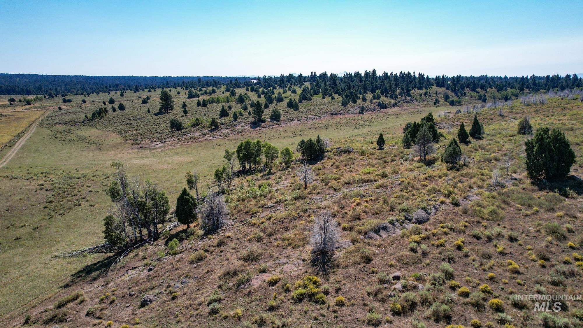 TBD Sadorus Hill Road, Ashton, Idaho 83420, Land For Sale, Price $4,500,000, 98923729