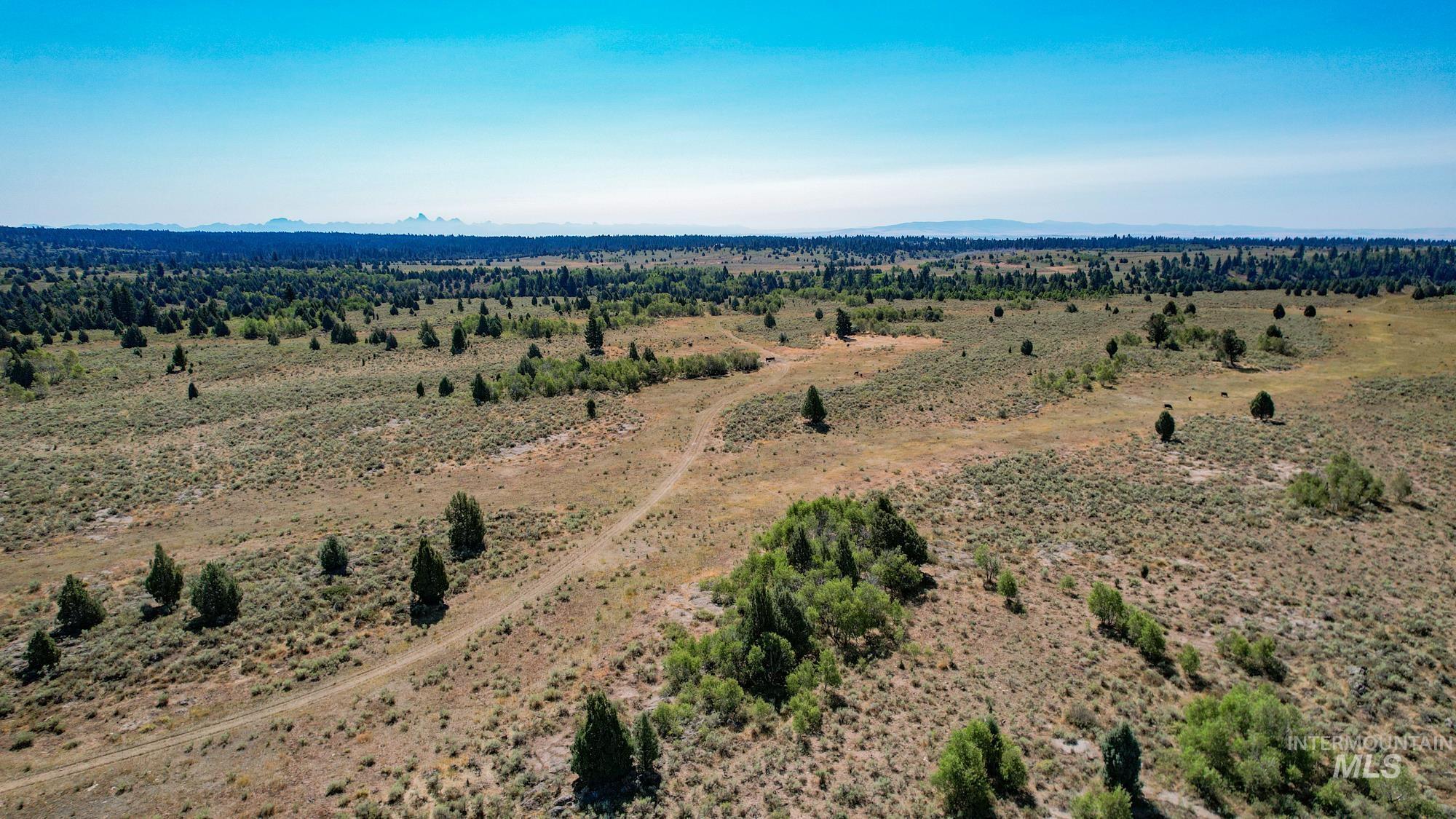 TBD Sadorus Hill Road, Ashton, Idaho 83420, Land For Sale, Price $4,500,000, 98923729