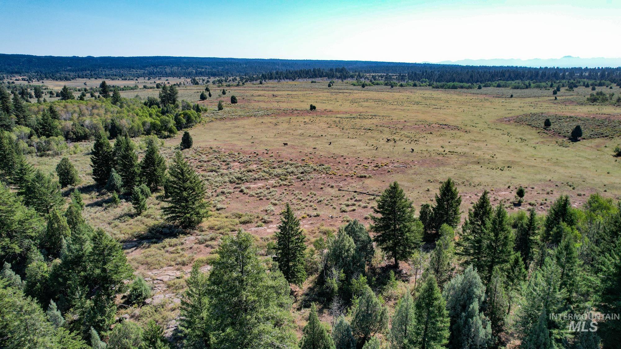 TBD Sadorus Hill Road, Ashton, Idaho 83420, Land For Sale, Price $4,500,000, 98923729