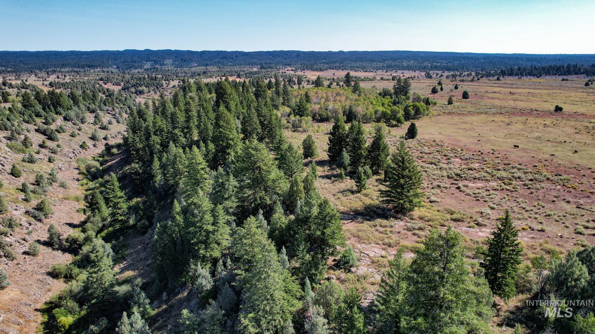 TBD Sadorus Hill Road, Ashton, Idaho 83420, Land For Sale, Price $4,500,000, 98923729