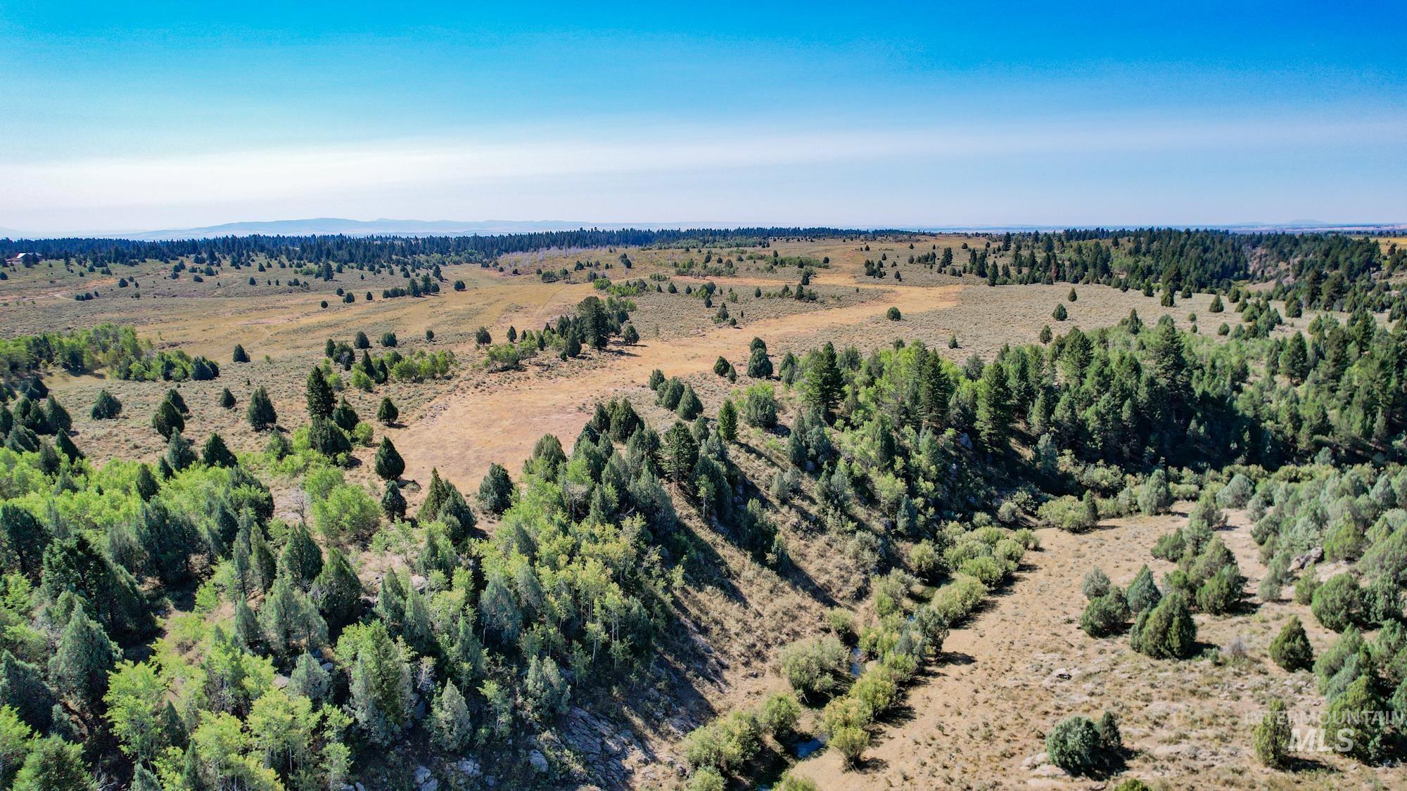TBD Sadorus Hill Road, Ashton, Idaho 83420, Land For Sale, Price $4,500,000, 98923729