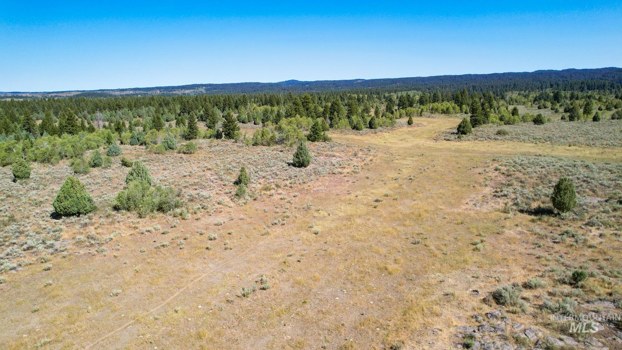 TBD Sadorus Hill Road, Ashton, Idaho 83420, Land For Sale, Price $4,500,000, 98923729