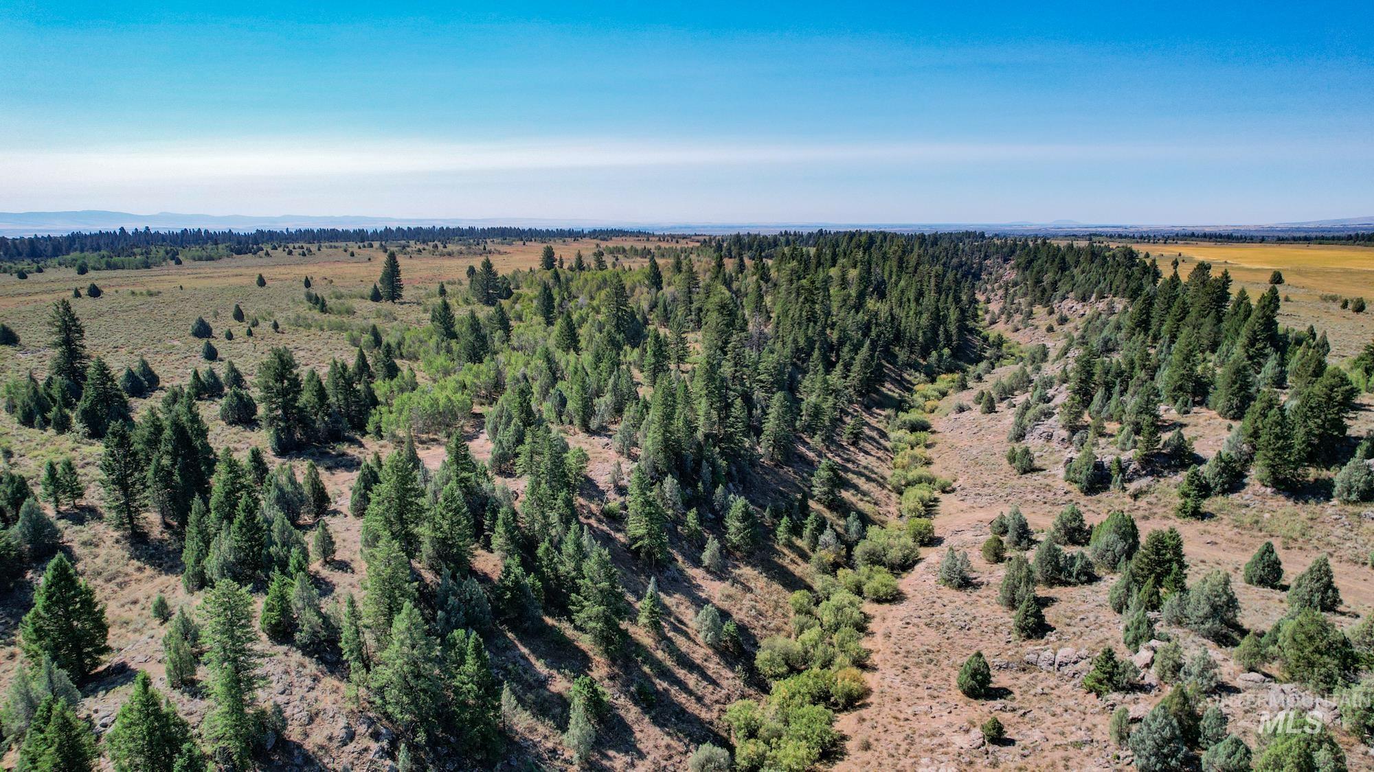 TBD Sadorus Hill Road, Ashton, Idaho 83420, Land For Sale, Price $4,500,000, 98923729