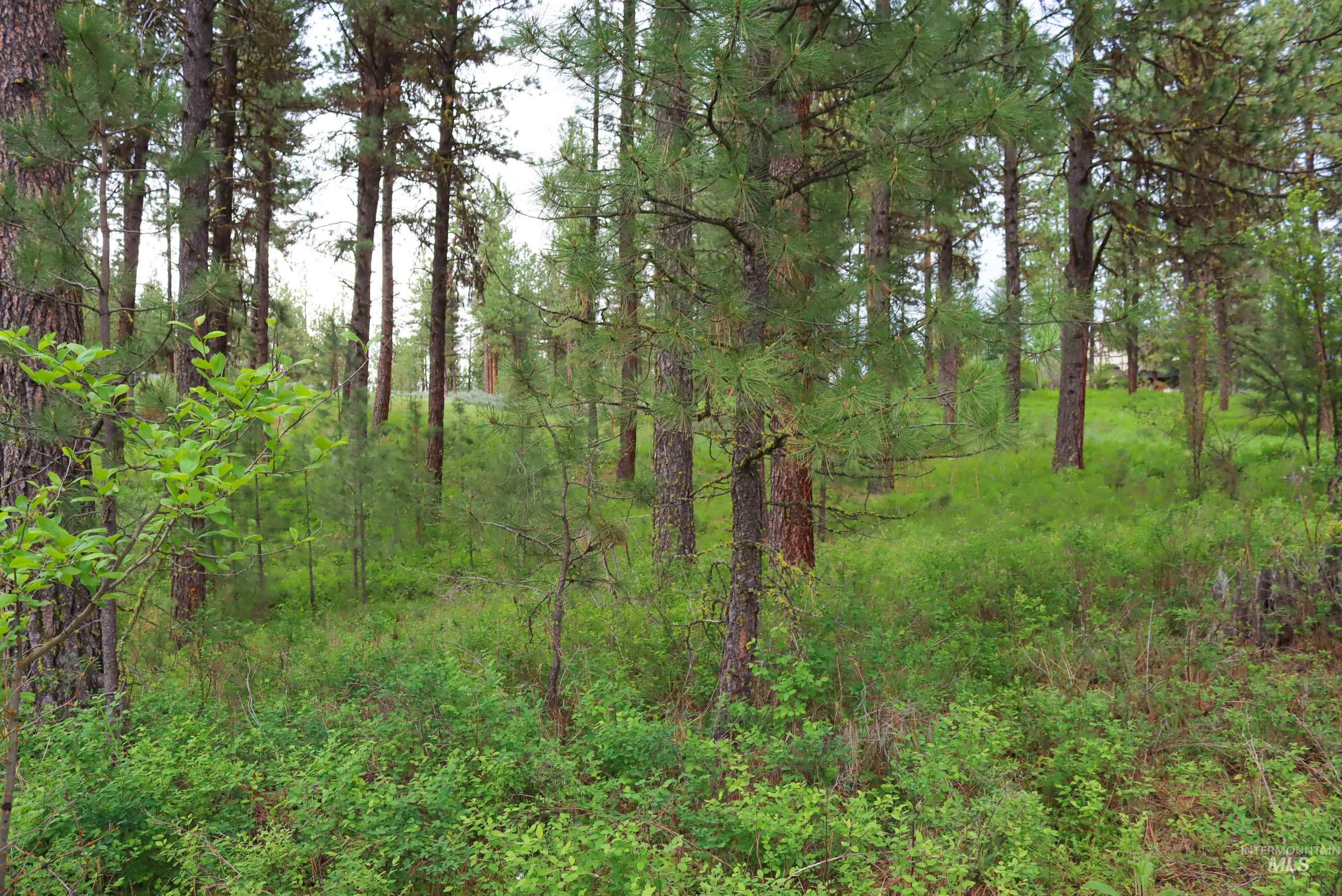 L1B11 Yarrow Dr, New Meadows, Idaho 83654, Land For Sale, Price $83,500, 98923743