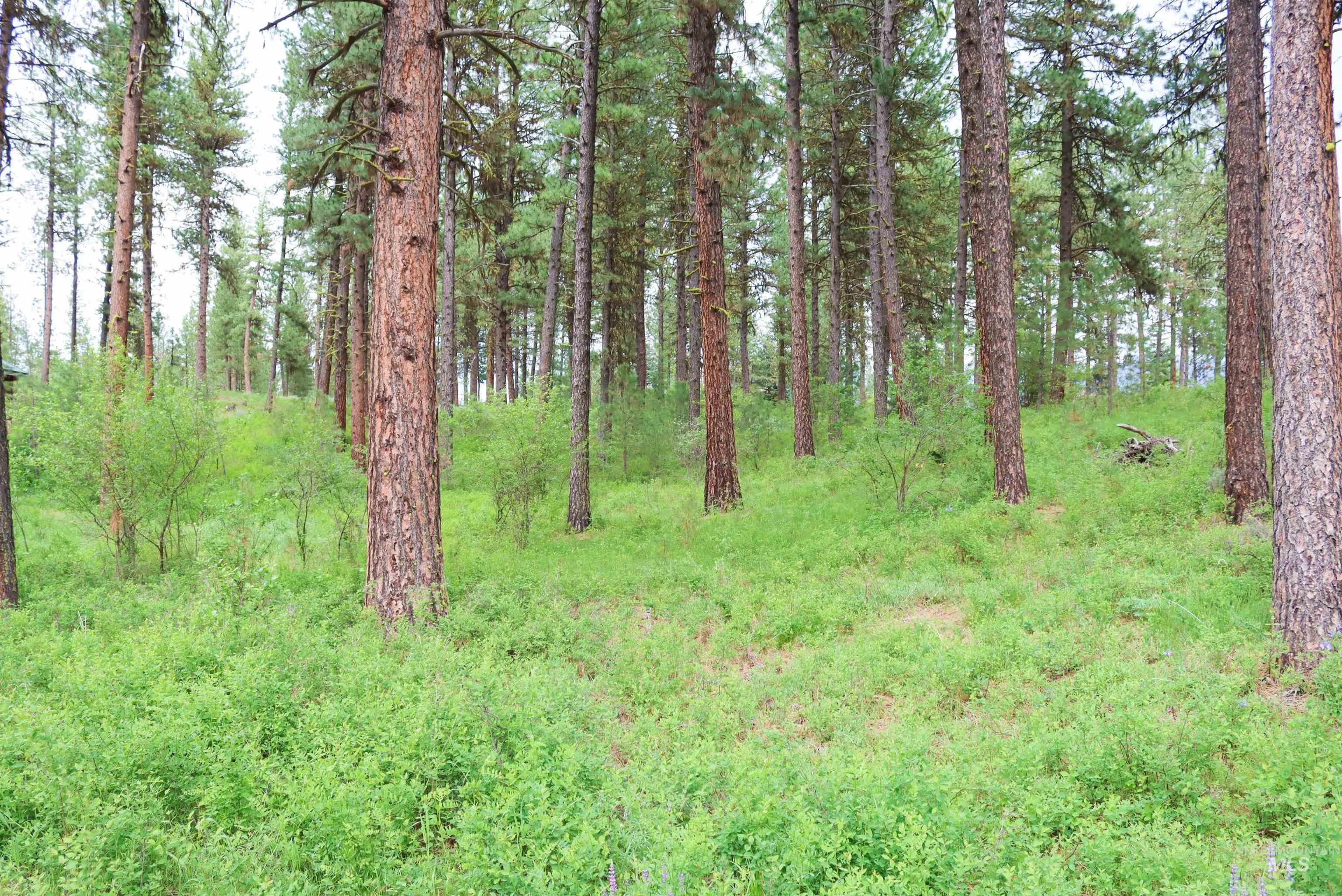 L1B11 Yarrow Dr, New Meadows, Idaho 83654, Land For Sale, Price $83,500, 98923743