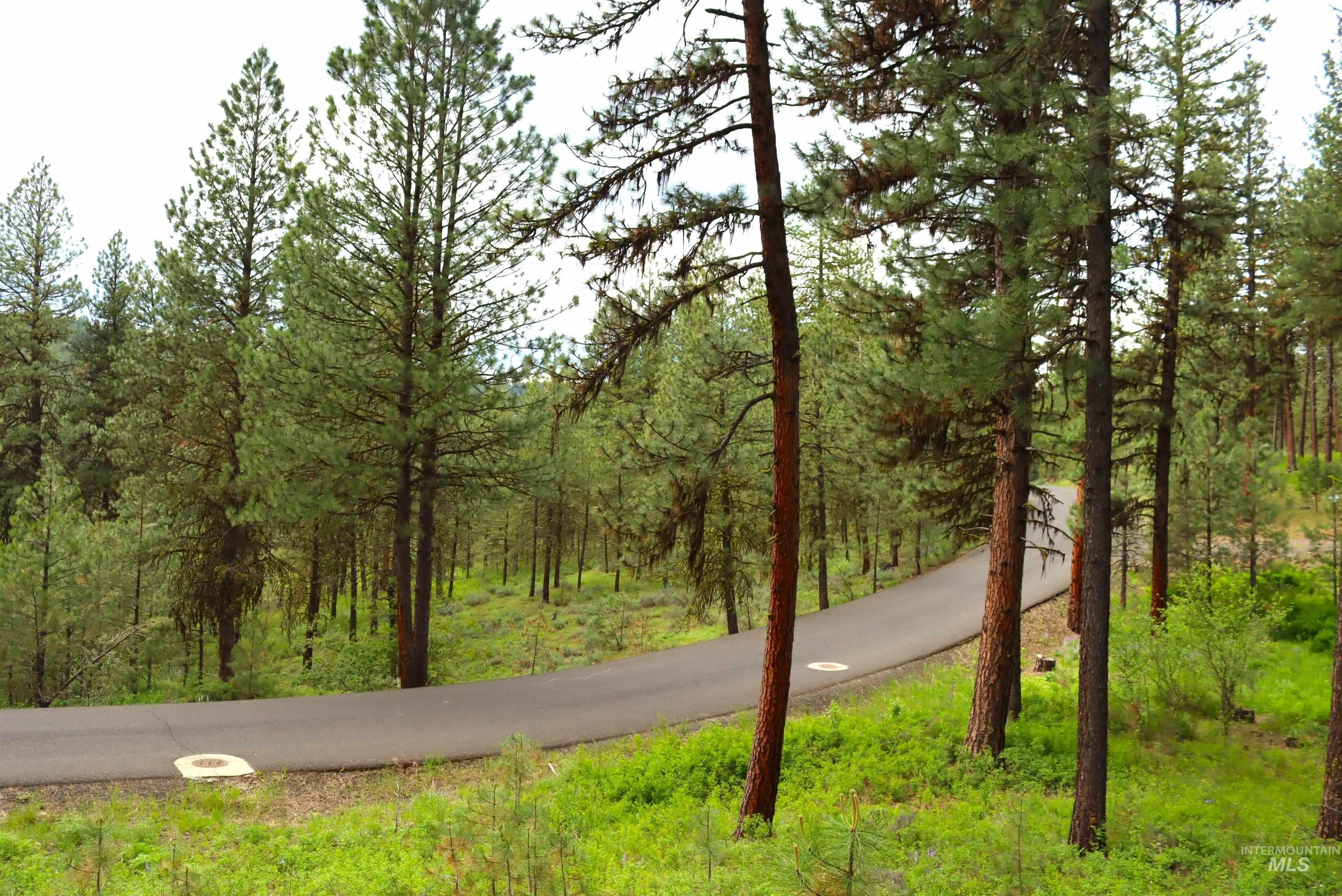 L1B11 Yarrow Dr, New Meadows, Idaho 83654, Land For Sale, Price $83,500, 98923743
