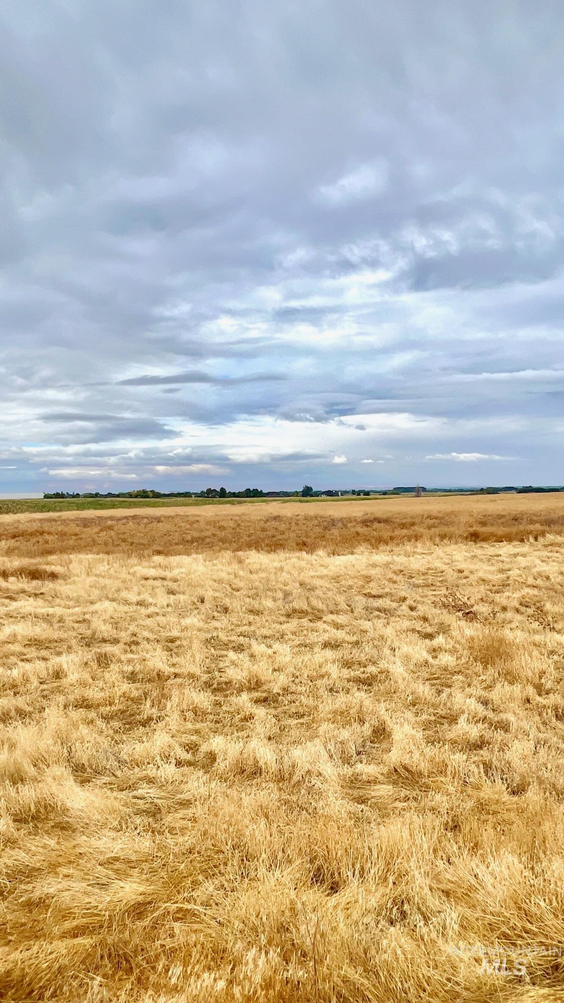 TBD S Ten Mile Rd, Meridian, Idaho 83642, Land For Sale, Price $7,275,000, 98923894