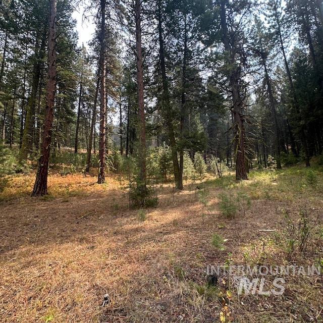 1737 Pine Lakes Ranch Dr / and TBD, Cascade, Idaho 83611, Land For Sale, Price $388,888,MLS 98923944