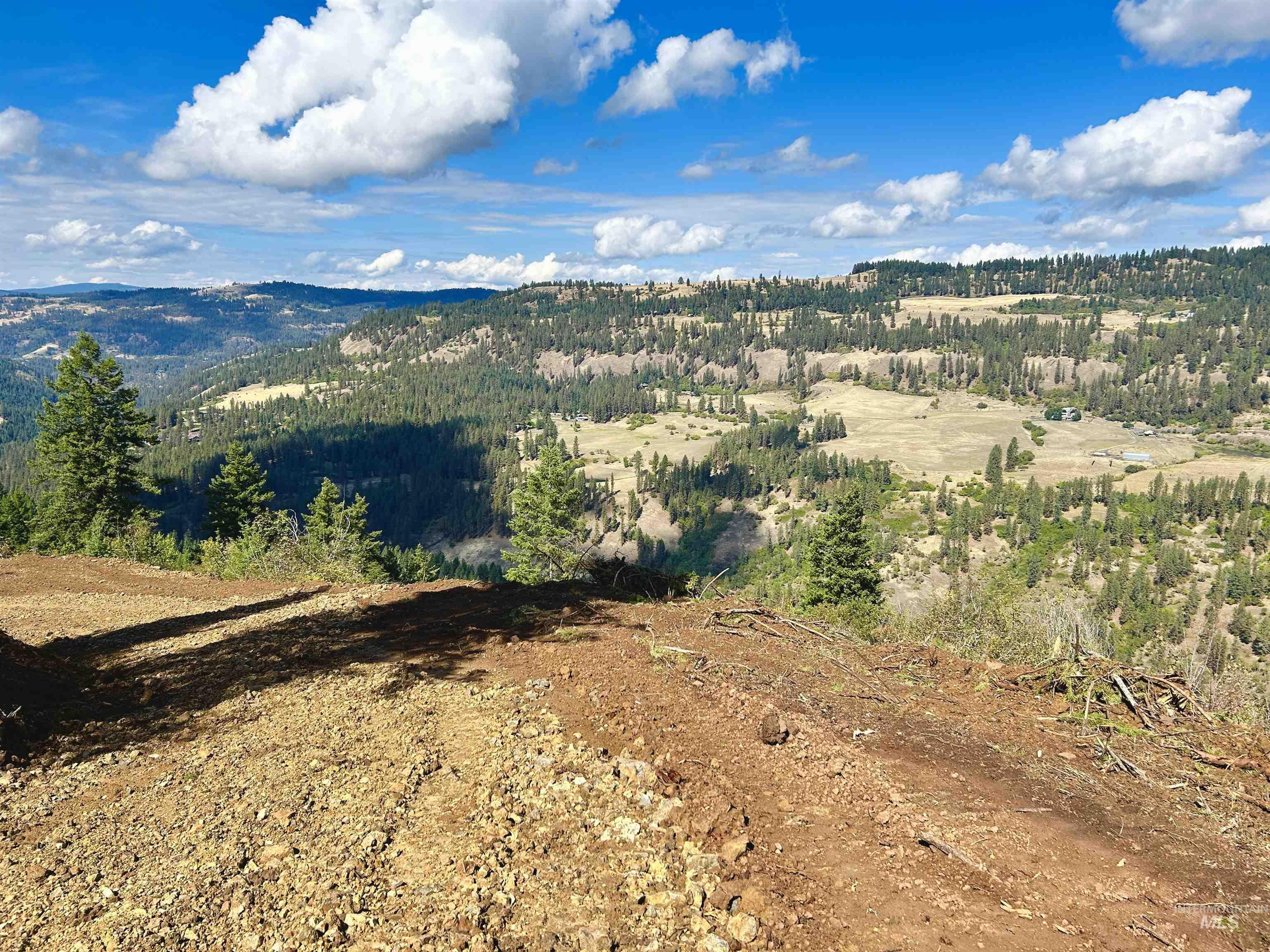 1762 Tranquil Lane, Orofino, Idaho 83544, Land For Sale, Price $164,000,MLS 98924005