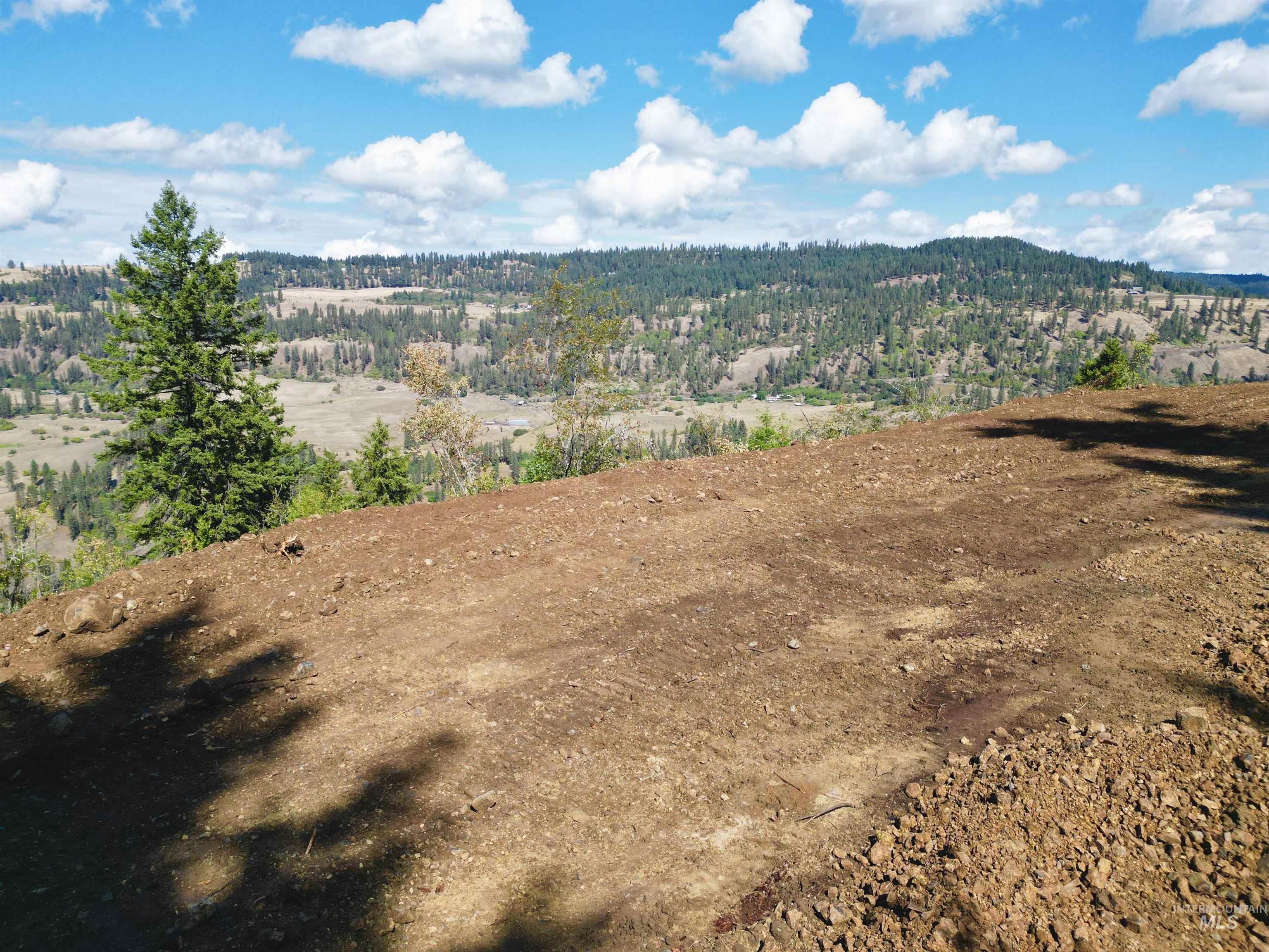 1762 Tranquil Lane, Orofino, Idaho 83544, Land For Sale, Price $164,000,MLS 98924005