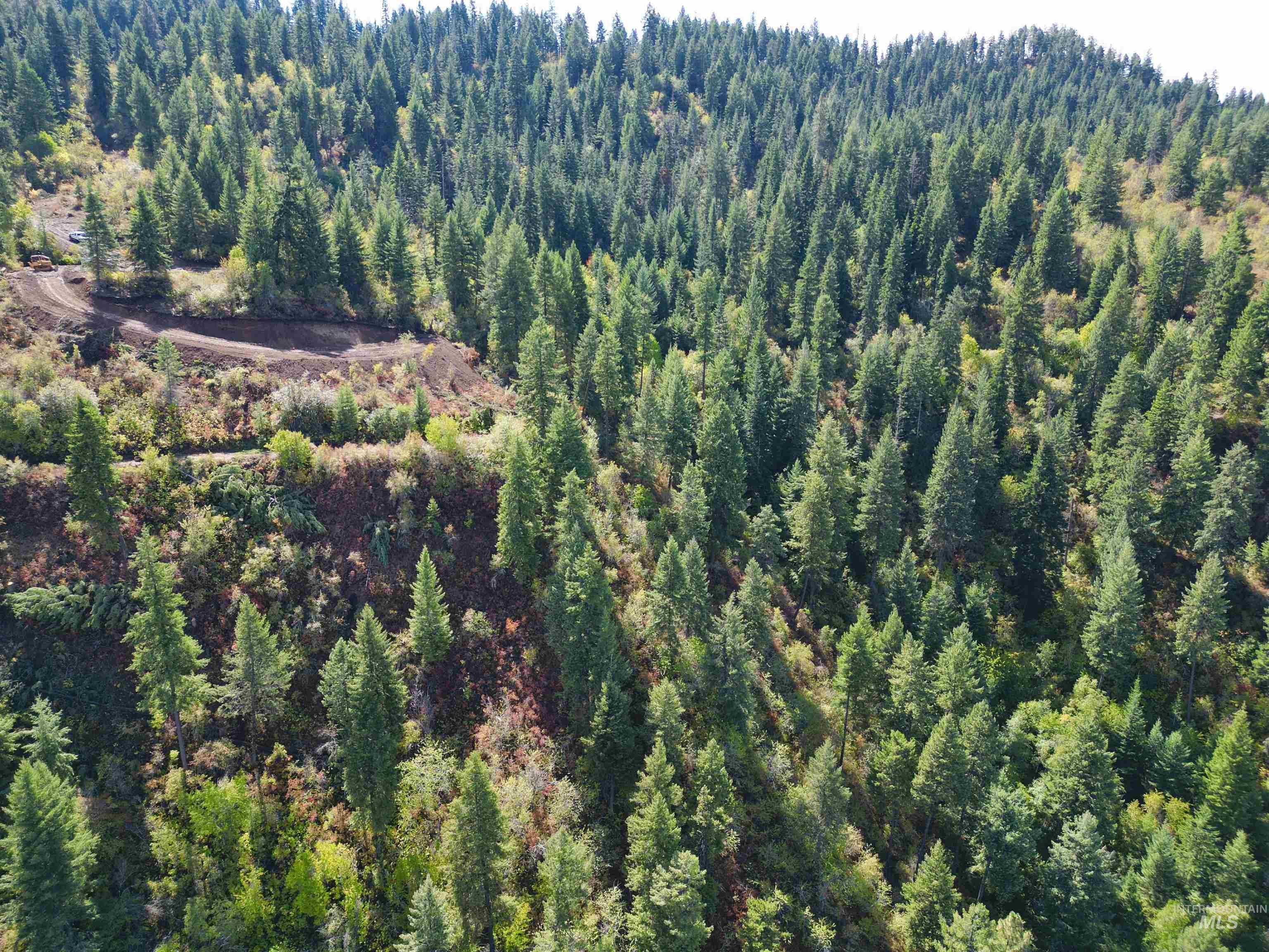 1762 Tranquil Lane, Orofino, Idaho 83544, Land For Sale, Price $164,000,MLS 98924005