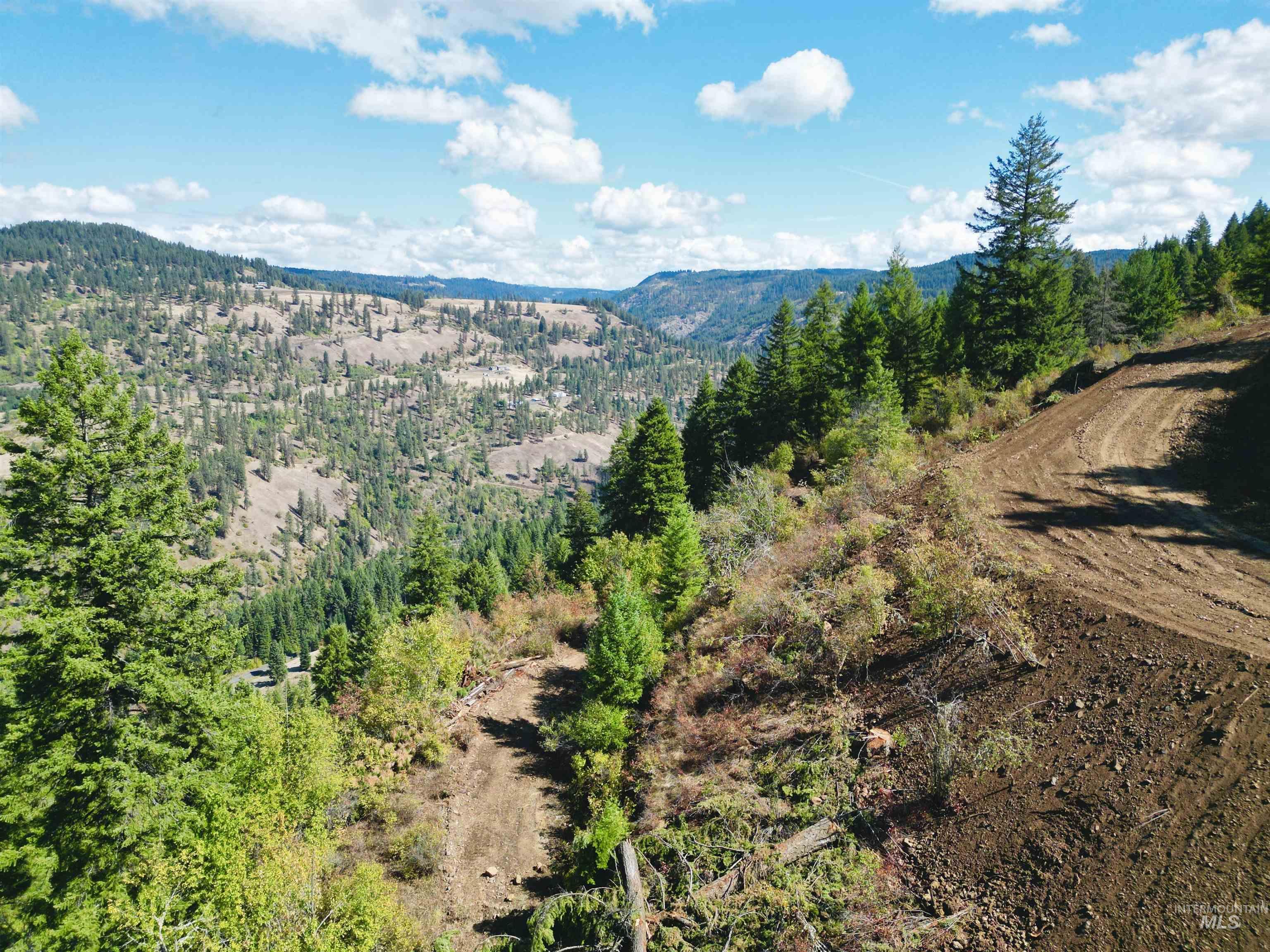 1762 Tranquil Lane, Orofino, Idaho 83544, Land For Sale, Price $164,000,MLS 98924005