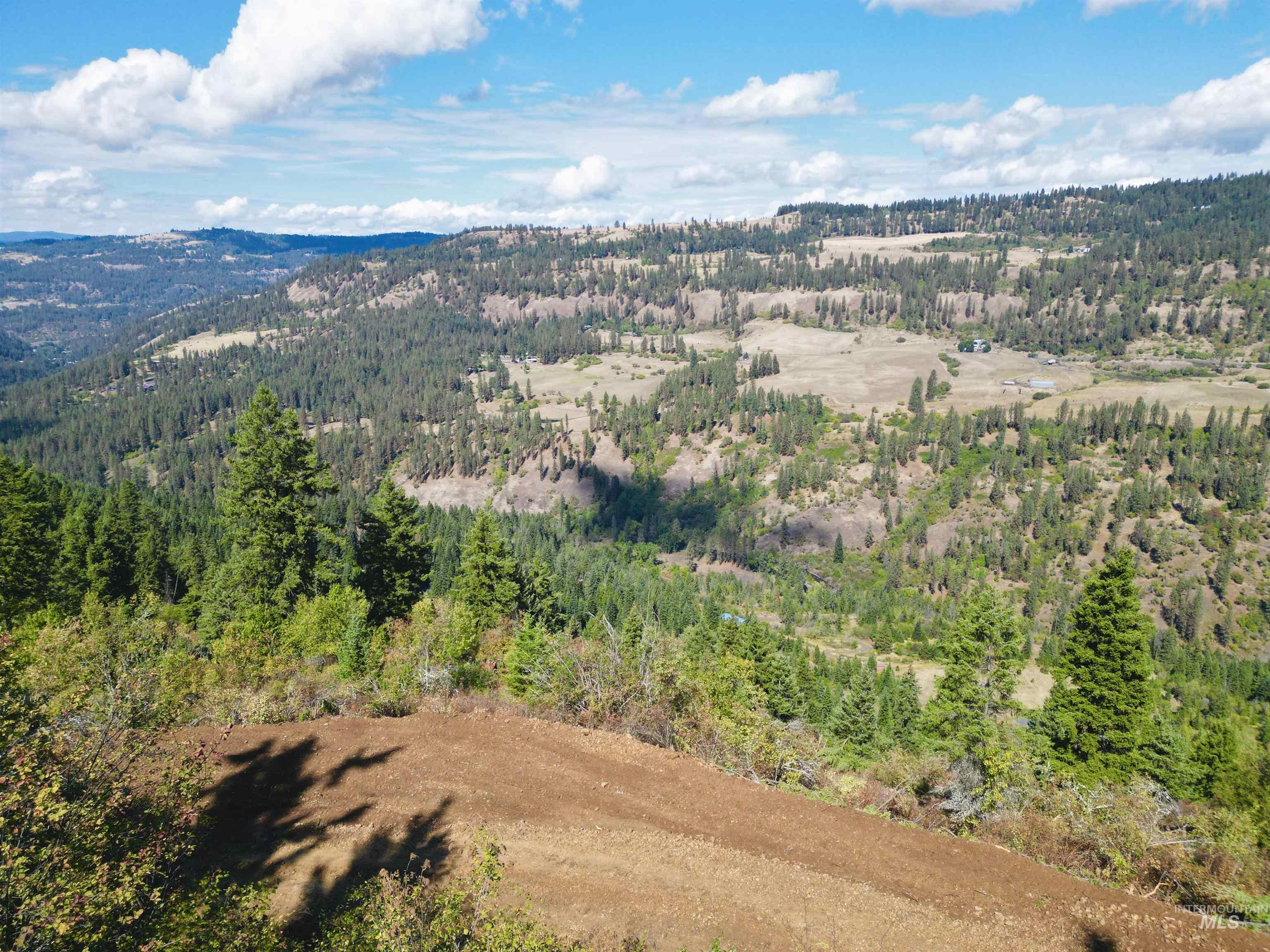 1762 Tranquil Lane, Orofino, Idaho 83544, Land For Sale, Price $164,000,MLS 98924005