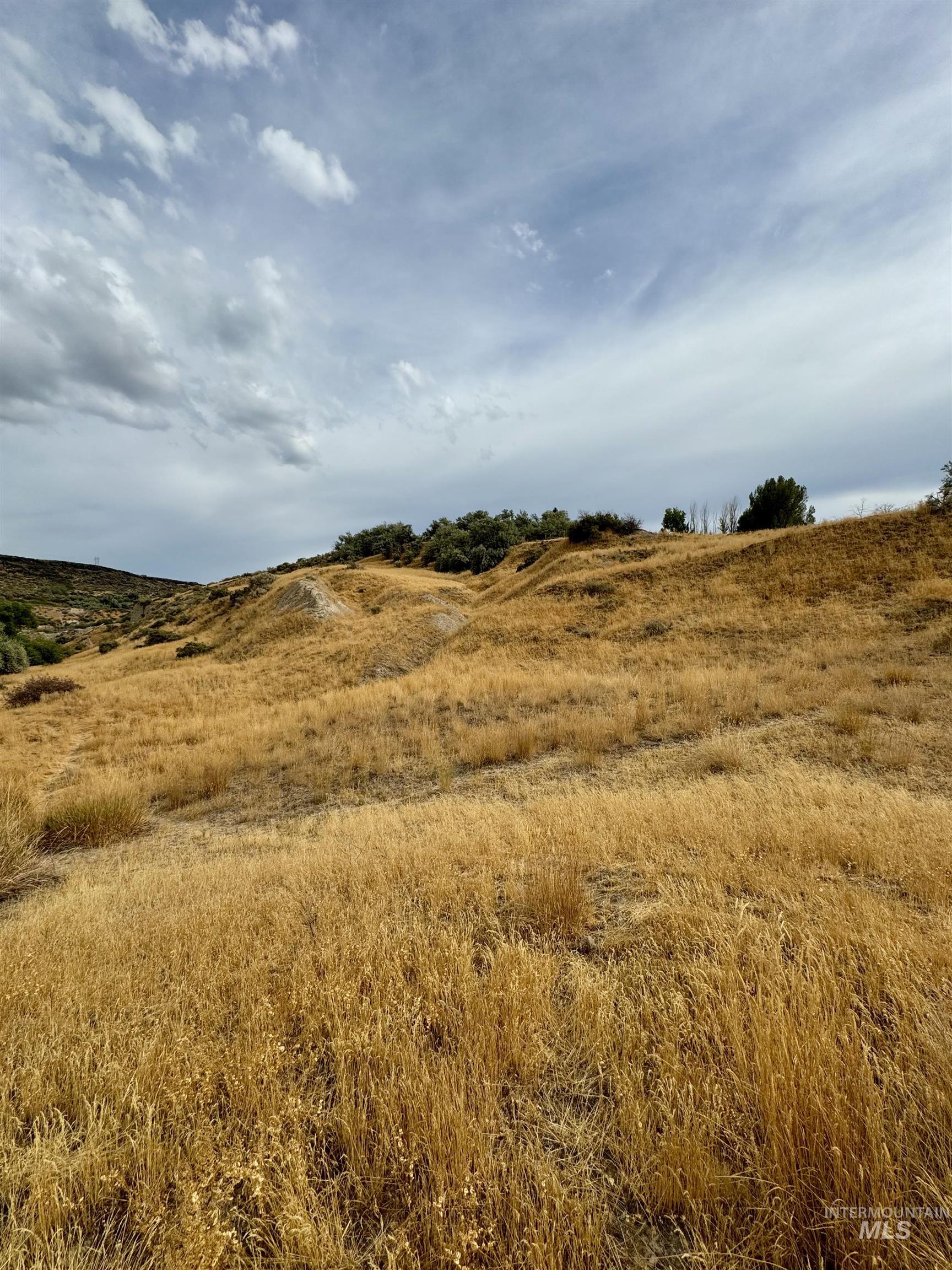 1060 Norwood Rd, Hagerman, Idaho 83332, 3 Bedrooms, 2 Bathrooms, Residential For Sale, Price $950,000,MLS 98924226