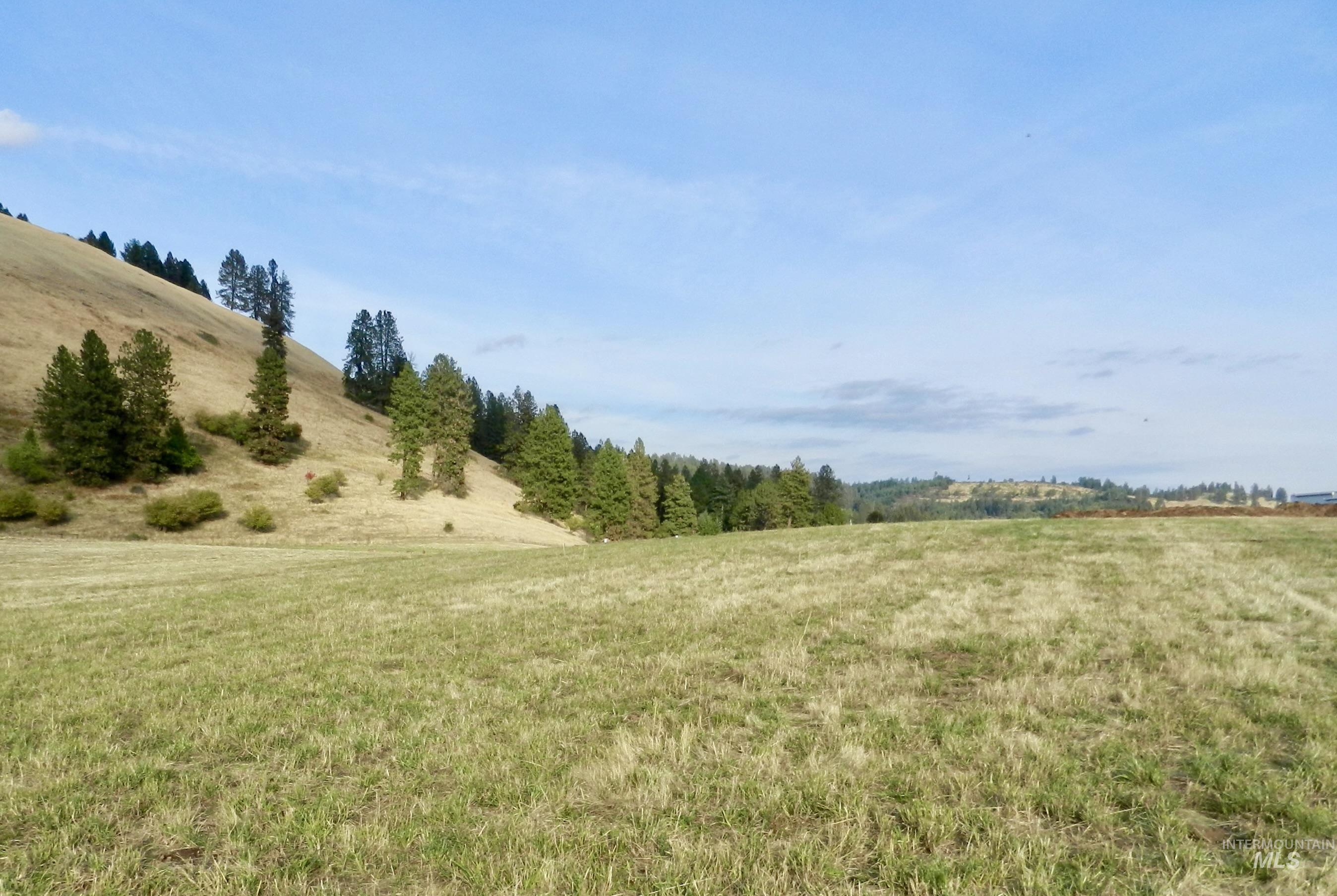 7329 Upper Ford's Creek Road, Orofino, Idaho 83536, Land For Sale, Price $309,500,MLS 98924444