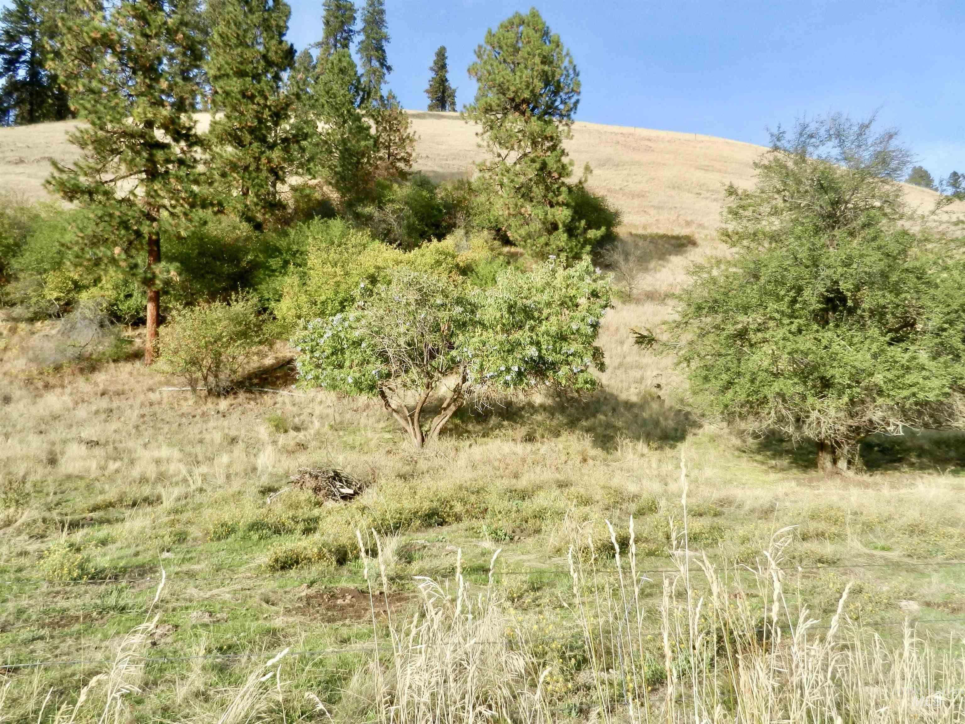 7329 Upper Ford's Creek Road, Orofino, Idaho 83536, Land For Sale, Price $309,500,MLS 98924444