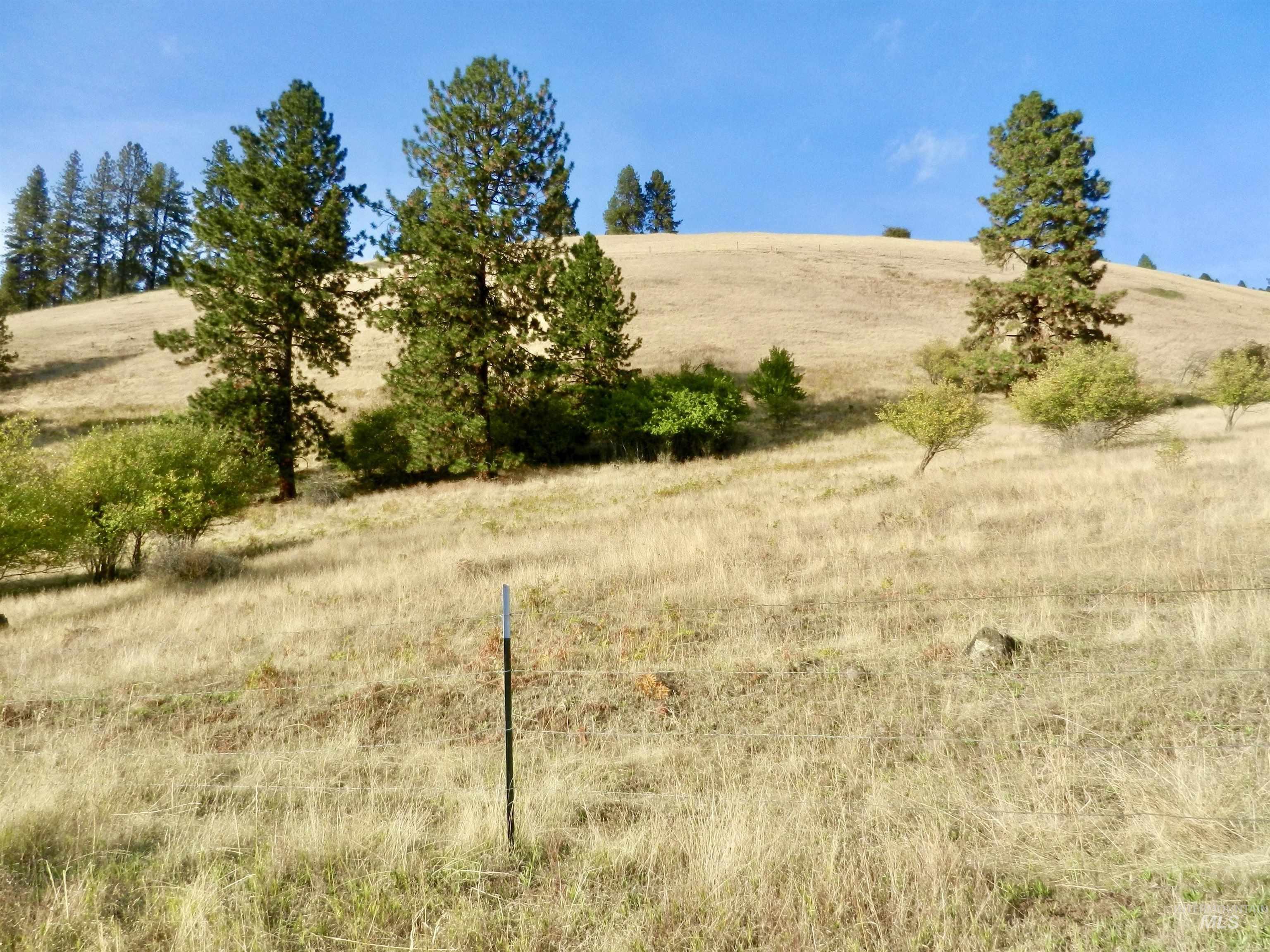 7329 Upper Ford's Creek Road, Orofino, Idaho 83536, Land For Sale, Price $309,500,MLS 98924444