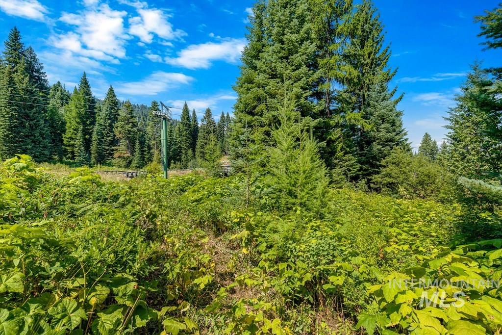 711 Whitewater Drive, Donnelly, Idaho 83614, Land For Sale, Price $585,000, 98924497