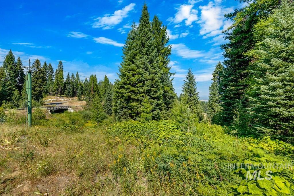 711 Whitewater Drive, Donnelly, Idaho 83614, Land For Sale, Price $585,000, 98924497