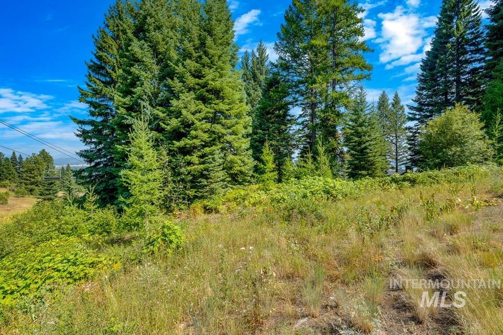 711 Whitewater Drive, Donnelly, Idaho 83614, Land For Sale, Price $585,000, 98924497