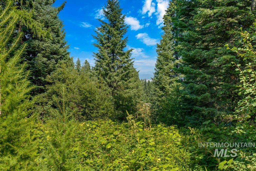 711 Whitewater Drive, Donnelly, Idaho 83614, Land For Sale, Price $585,000, 98924497
