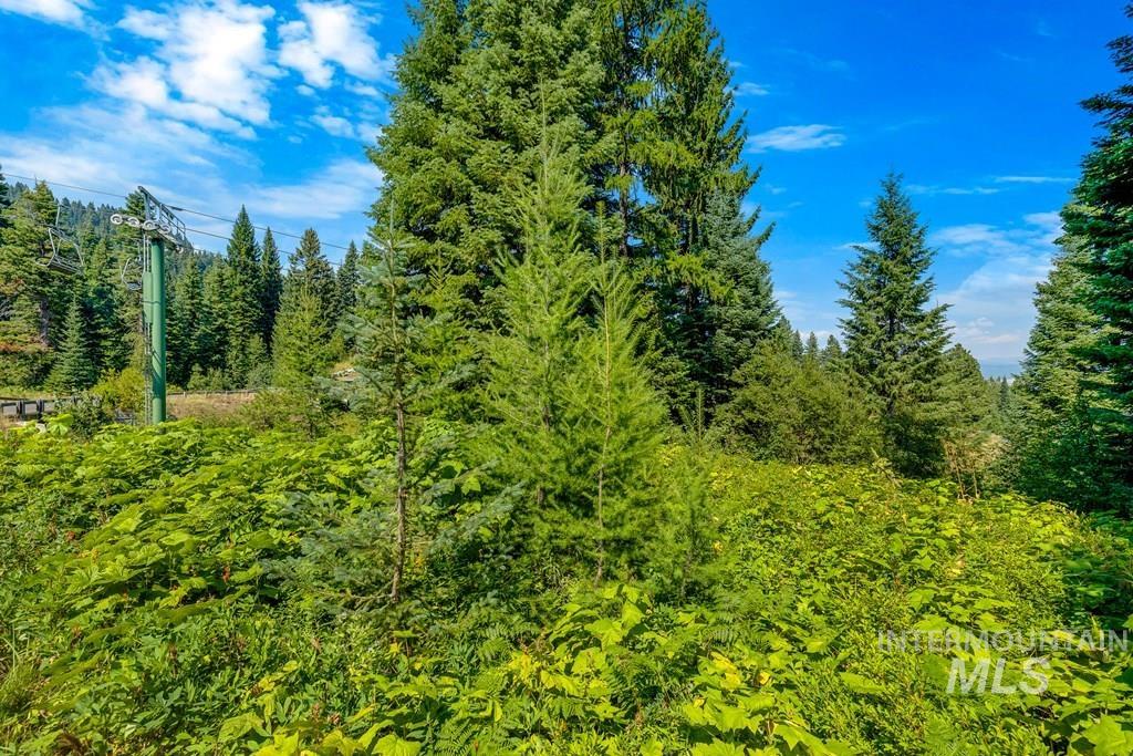 711 Whitewater Drive, Donnelly, Idaho 83614, Land For Sale, Price $585,000, 98924497