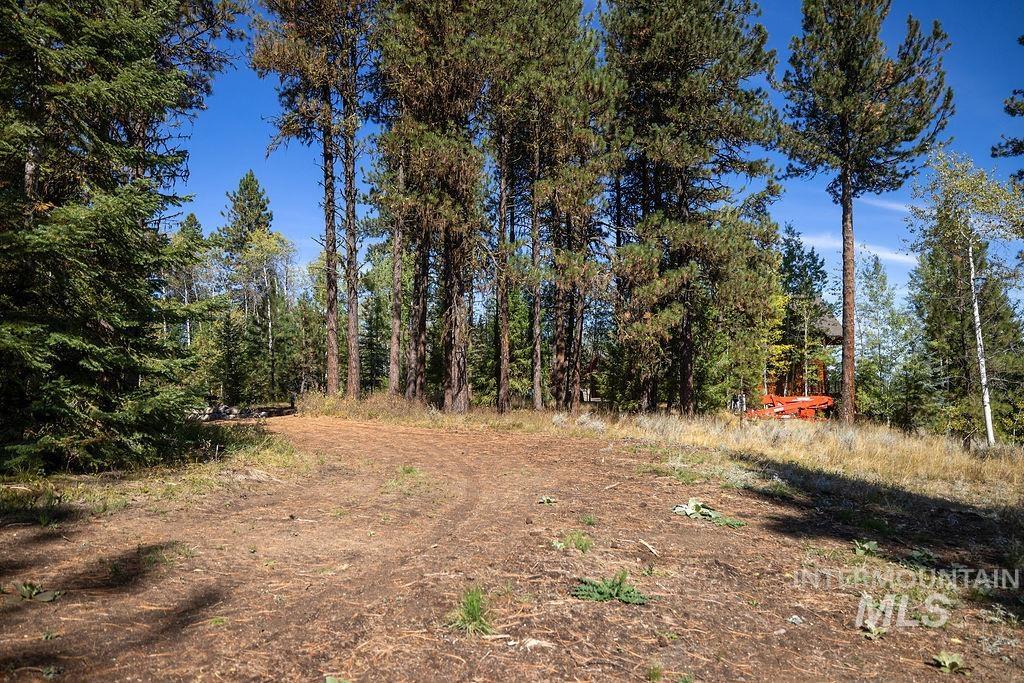 352 Blackhawk Lake Dr, McCall, Idaho 83638, Land For Sale, Price $496,000, 98924523