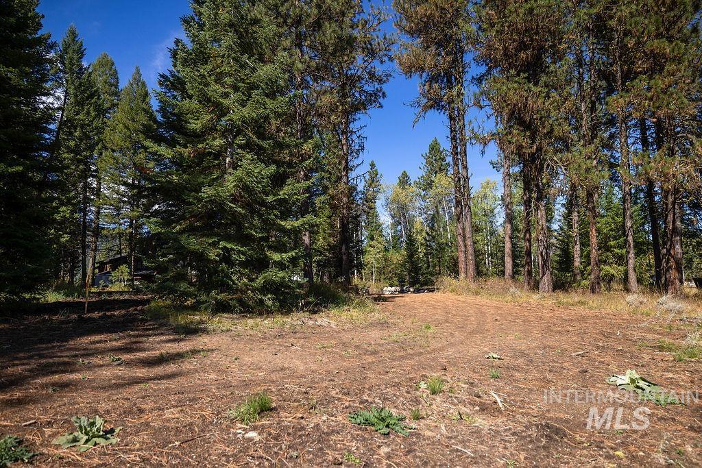 352 Blackhawk Lake Dr, McCall, Idaho 83638, Land For Sale, Price $496,000, 98924523