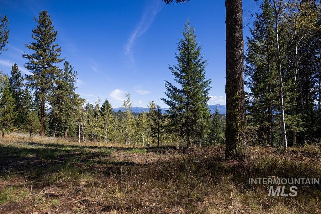 352 Blackhawk Lake Dr, McCall, Idaho 83638, Land For Sale, Price $496,000, 98924523