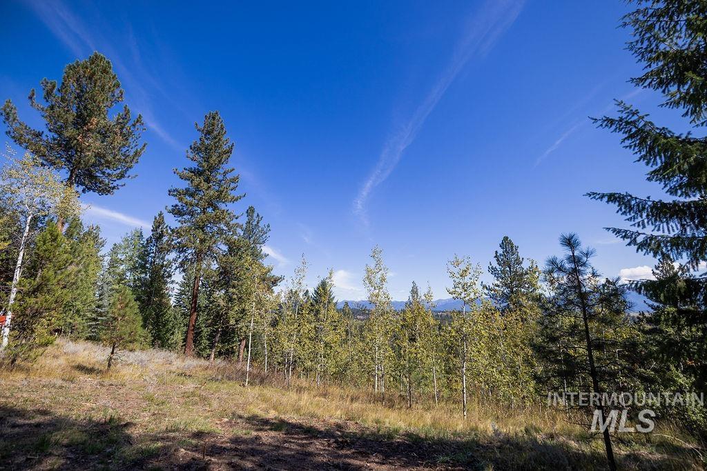 352 Blackhawk Lake Dr, McCall, Idaho 83638, Land For Sale, Price $496,000, 98924523