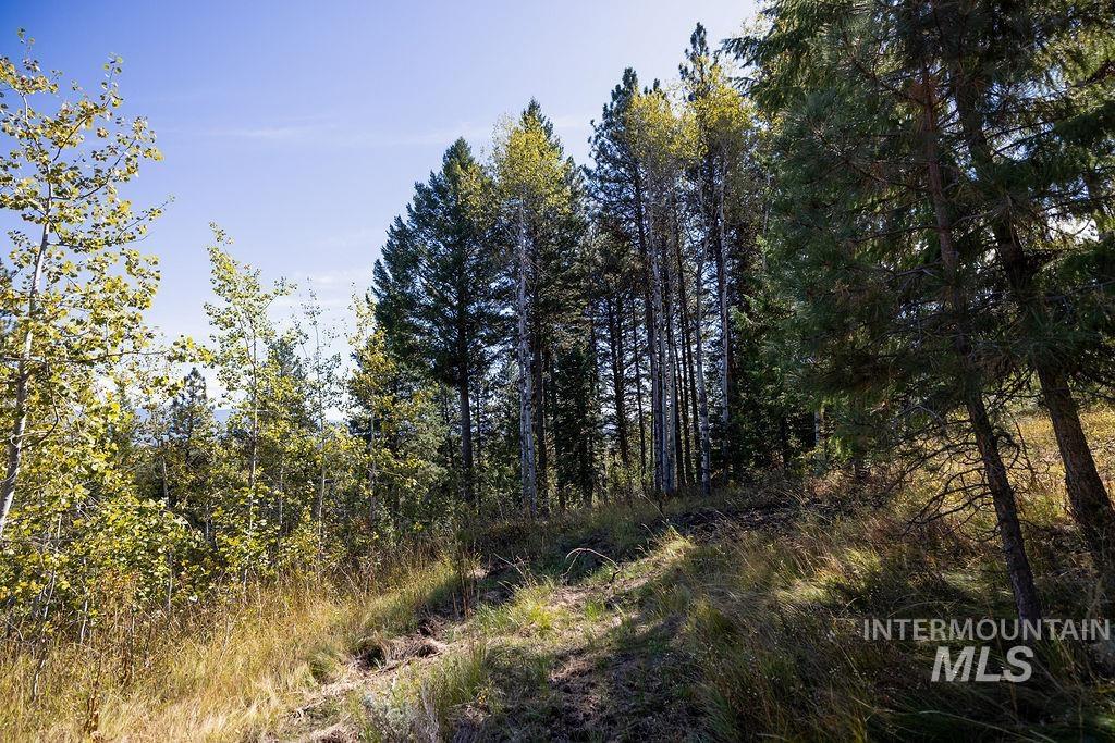 352 Blackhawk Lake Dr, McCall, Idaho 83638, Land For Sale, Price $496,000, 98924523