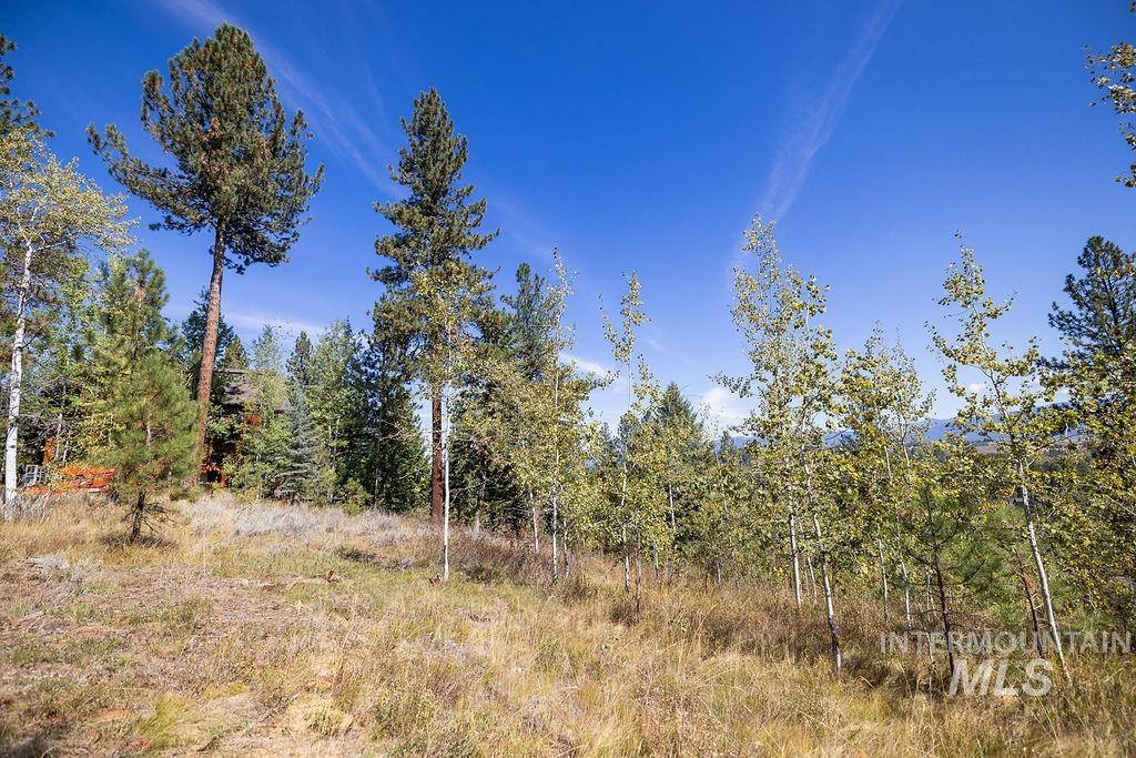352 Blackhawk Lake Dr, McCall, Idaho 83638, Land For Sale, Price $496,000, 98924523