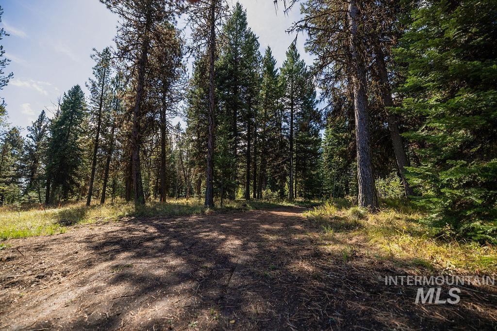 352 Blackhawk Lake Dr, McCall, Idaho 83638, Land For Sale, Price $496,000, 98924523