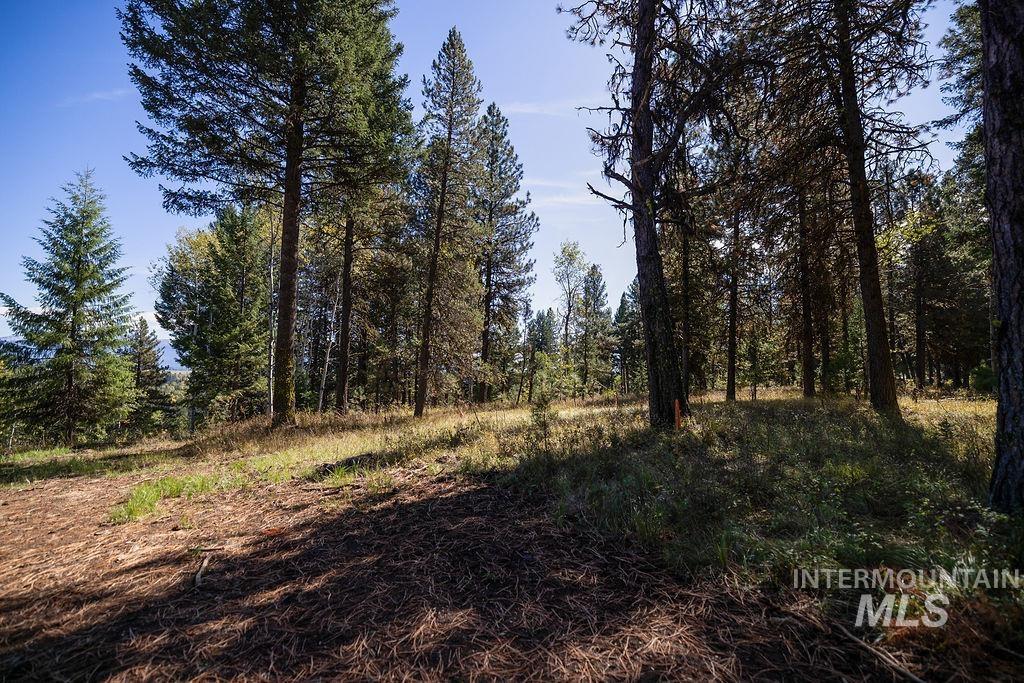 352 Blackhawk Lake Dr, McCall, Idaho 83638, Land For Sale, Price $496,000, 98924523