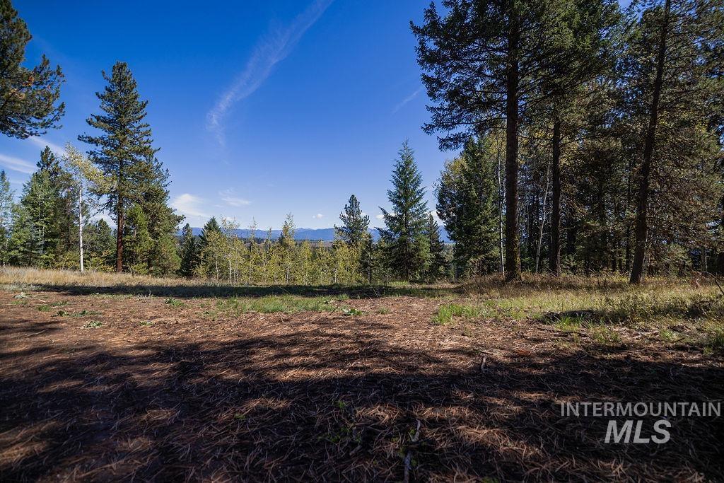 352 Blackhawk Lake Dr, McCall, Idaho 83638, Land For Sale, Price $496,000, 98924523