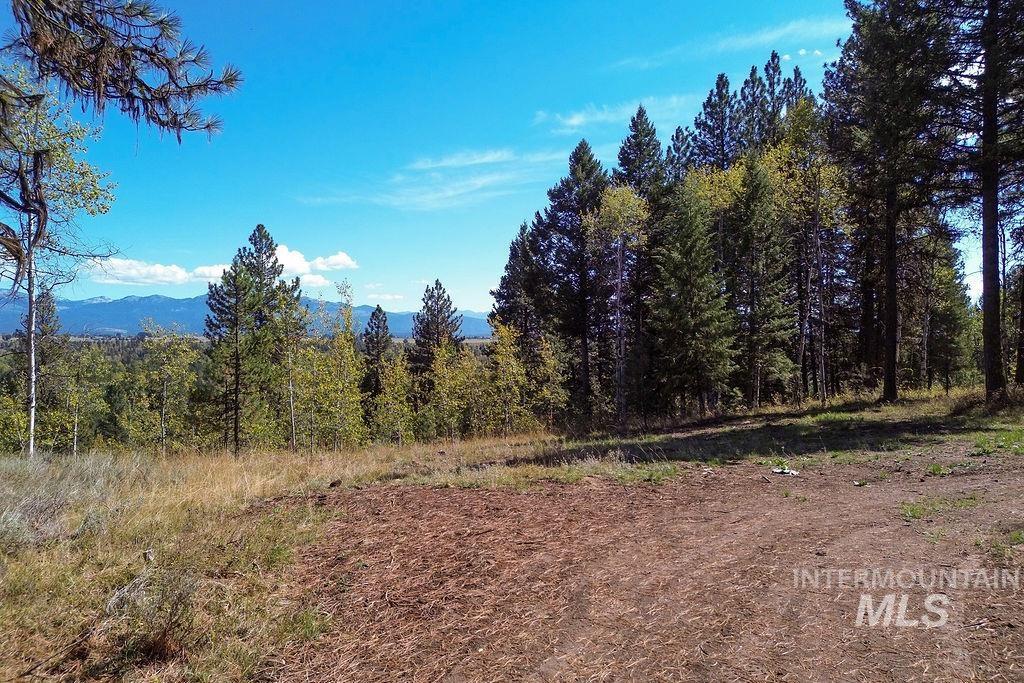 352 Blackhawk Lake Dr, McCall, Idaho 83638, Land For Sale, Price $496,000, 98924523