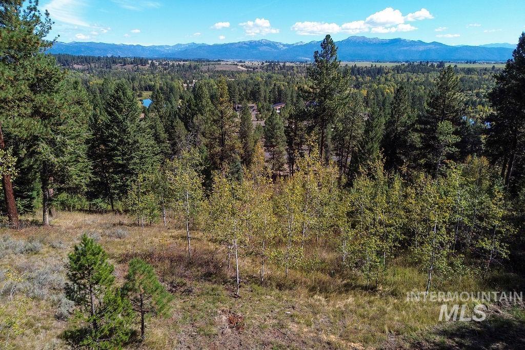 352 Blackhawk Lake Dr, McCall, Idaho 83638, Land For Sale, Price $496,000, 98924523