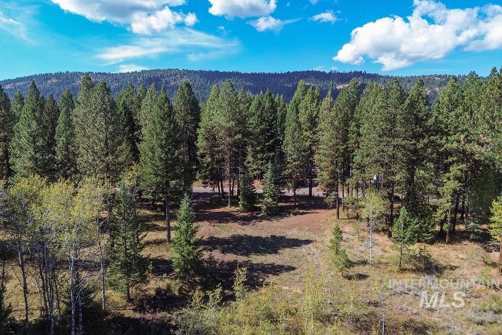 352 Blackhawk Lake Dr, McCall, Idaho 83638, Land For Sale, Price $496,000, 98924523