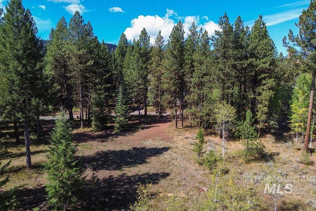 352 Blackhawk Lake Dr, McCall, Idaho 83638, Land For Sale, Price $496,000, 98924523