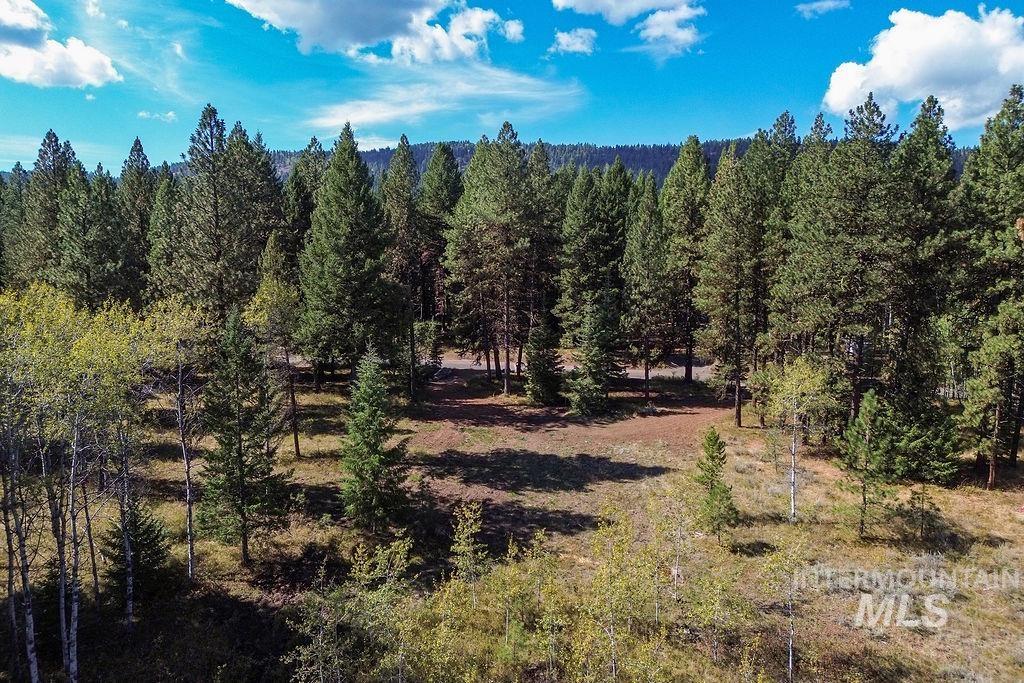 352 Blackhawk Lake Dr, McCall, Idaho 83638, Land For Sale, Price $496,000, 98924523