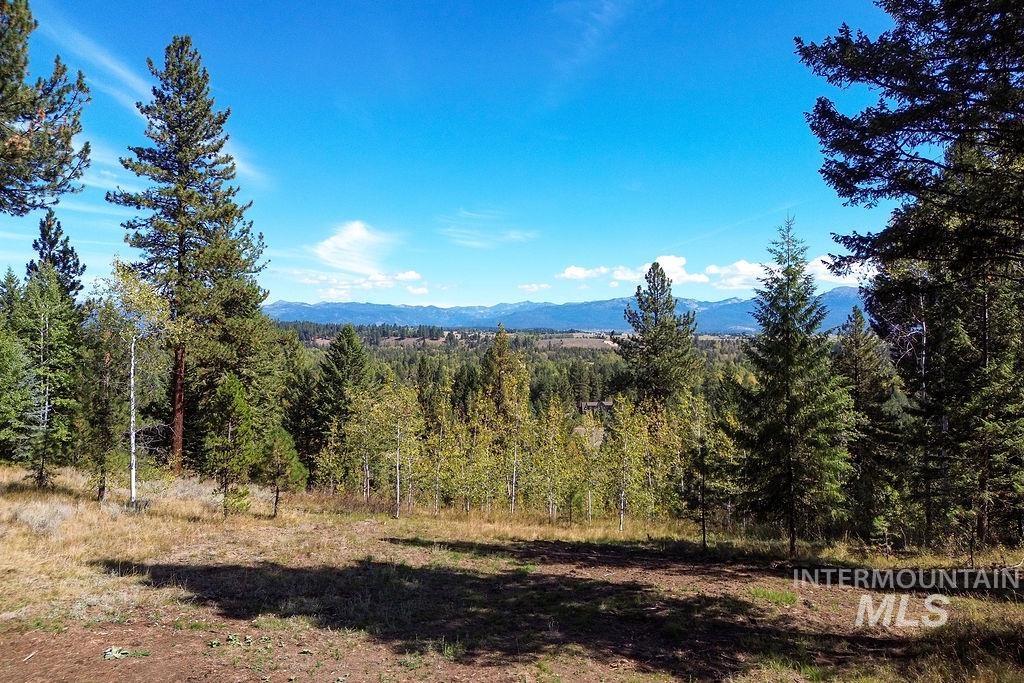 352 Blackhawk Lake Dr, McCall, Idaho 83638, Land For Sale, Price $496,000, 98924523