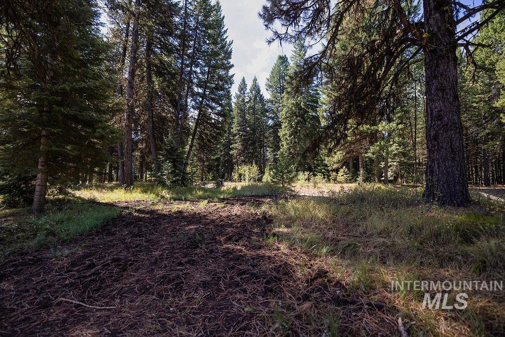 352 Blackhawk Lake Dr, McCall, Idaho 83638, Land For Sale, Price $496,000, 98924523