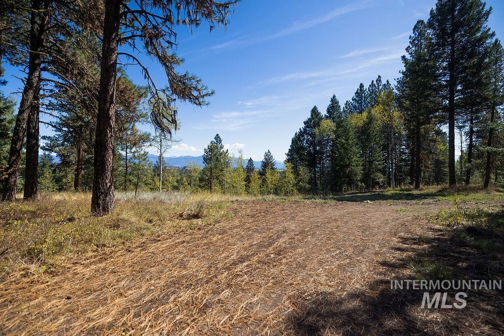 352 Blackhawk Lake Dr, McCall, Idaho 83638, Land For Sale, Price $496,000, 98924523
